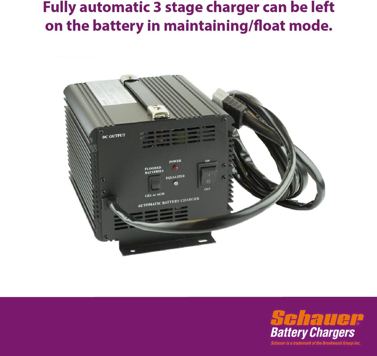 Our Take on the Schauer JAC1548H: Reliable ​48V Golf Cart Charger